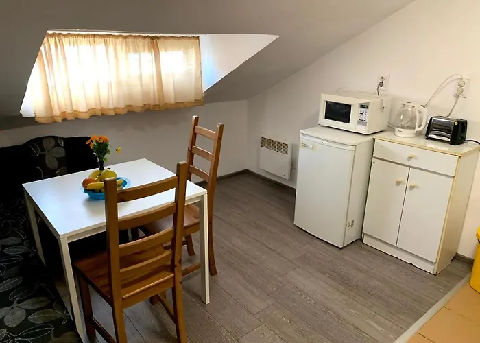 Appartement Samuil - *