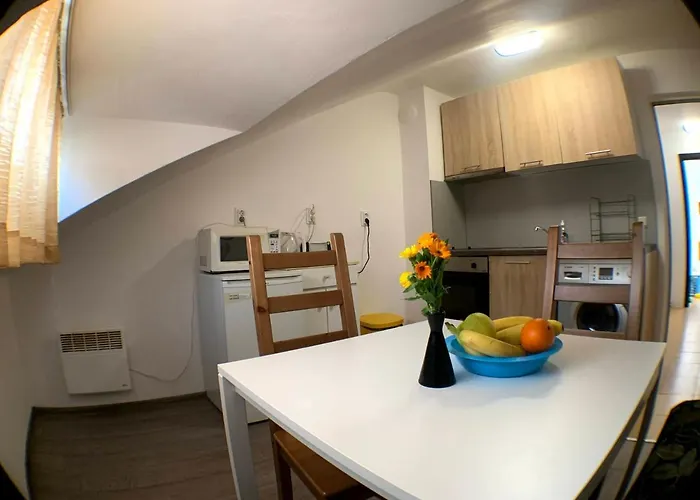 Appartement Samuil -